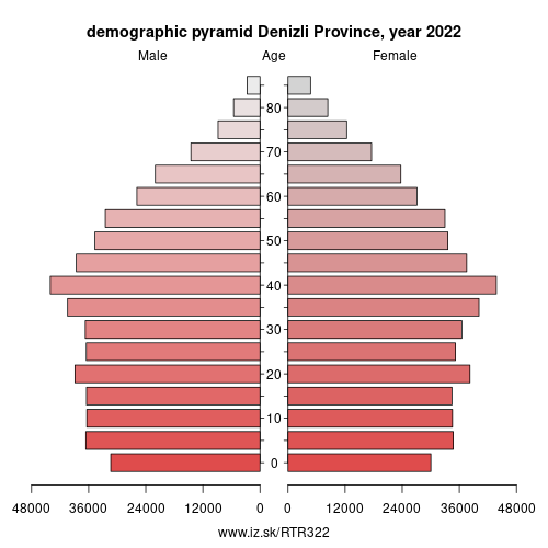 demographic pyramid TR322 Denizli Province