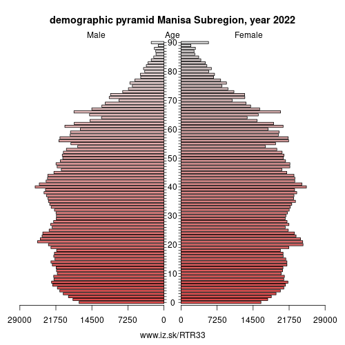 demographic pyramid TR33 Manisa Subregion