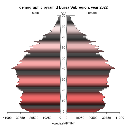 demographic pyramid TR41 Bursa Subregion
