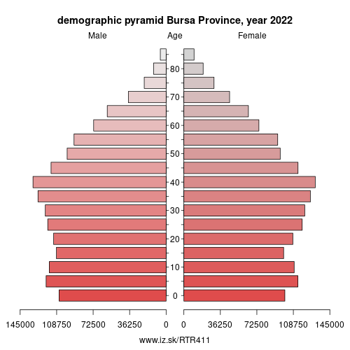 demographic pyramid TR411 Bursa Province