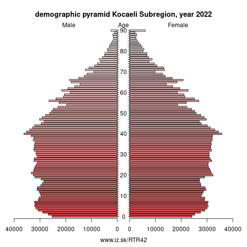 demographic pyramid TR42 Kocaeli Subregion
