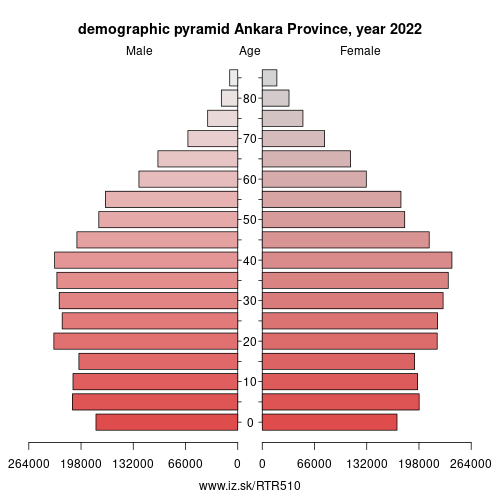 demographic pyramid TR510 Ankara Province