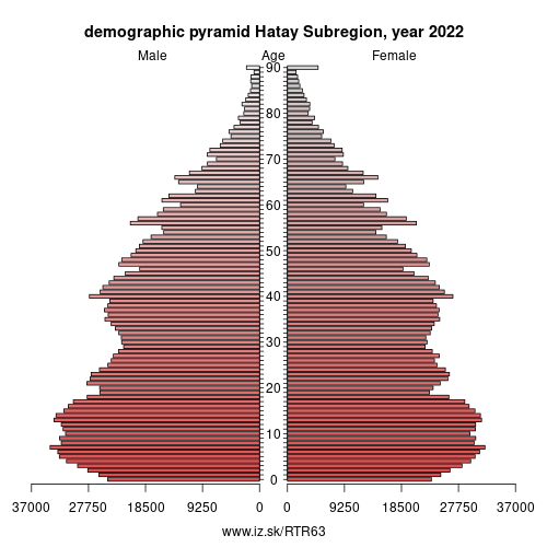 demographic pyramid TR63 Hatay Subregion