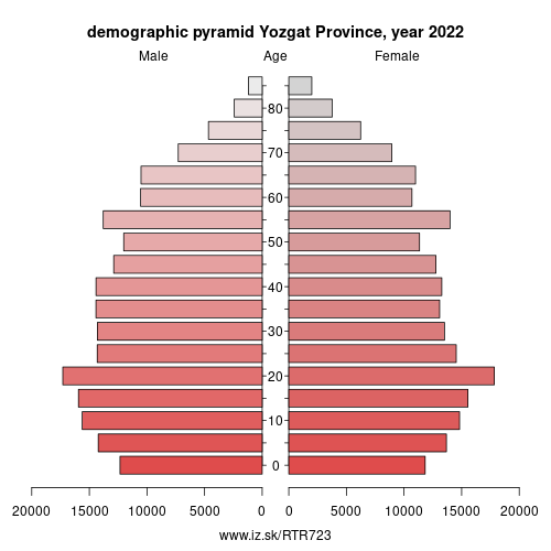 demographic pyramid TR723 Yozgat Province