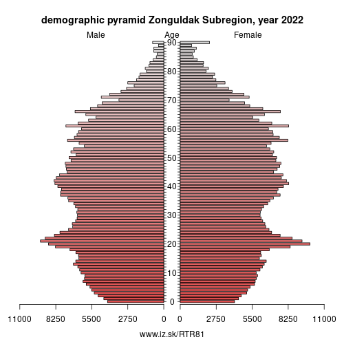 demographic pyramid TR81 Zonguldak Subregion
