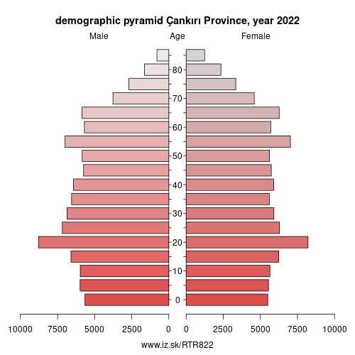 demographic pyramid TR822 Çankırı Province