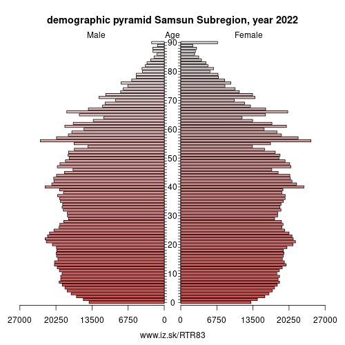 demographic pyramid TR83 Samsun Subregion