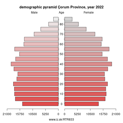 demographic pyramid TR833 Çorum Province
