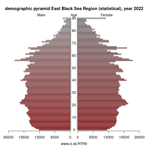 demographic pyramid TR9 East Black Sea Region (statistical)