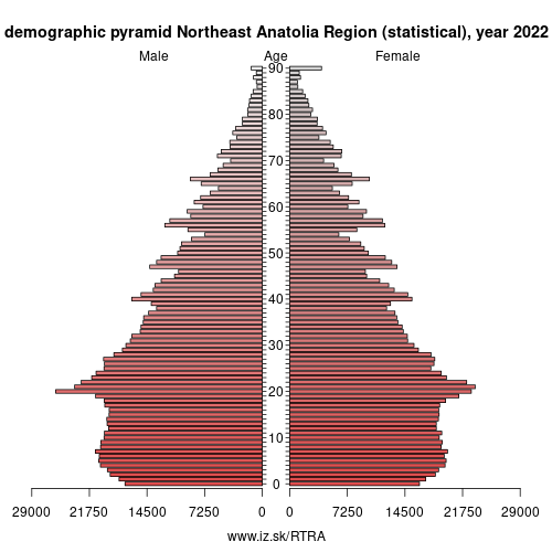 demographic pyramid TRA Northeast Anatolia Region (statistical)