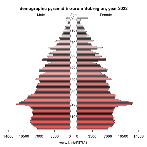 demographic pyramid TRA1 Erzurum Subregion