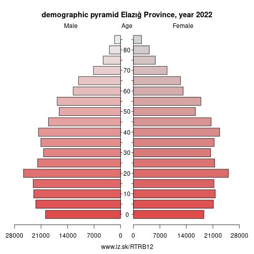 demographic pyramid TRB12 Elazığ Province