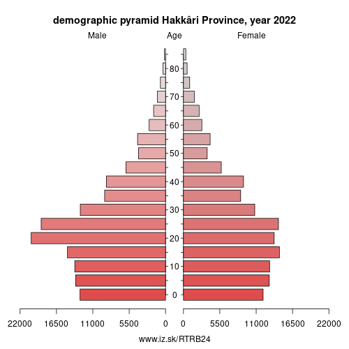 demographic pyramid TRB24 Hakkâri Province