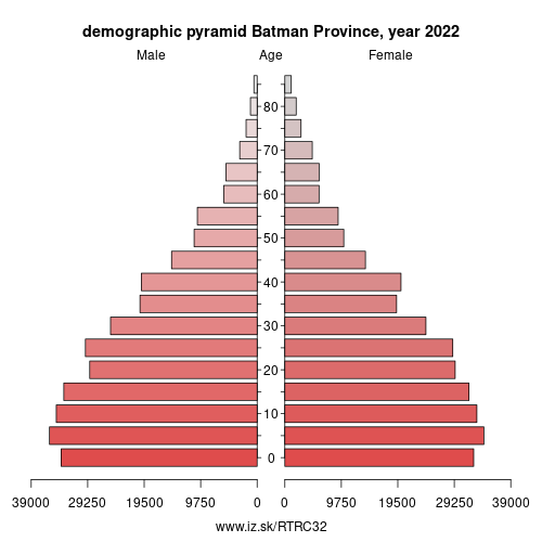 demographic pyramid TRC32 Batman Province