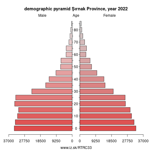demographic pyramid TRC33 Şırnak Province