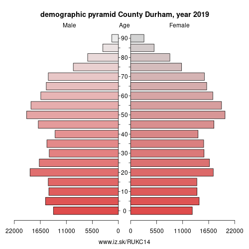 demographic pyramid UKC14 County Durham