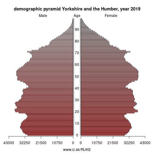 demographic pyramid UKE Yorkshire and the Humber