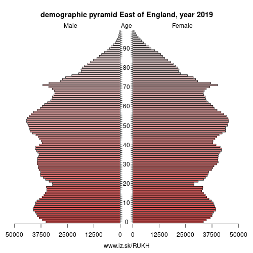 demographic pyramid UKH East of England