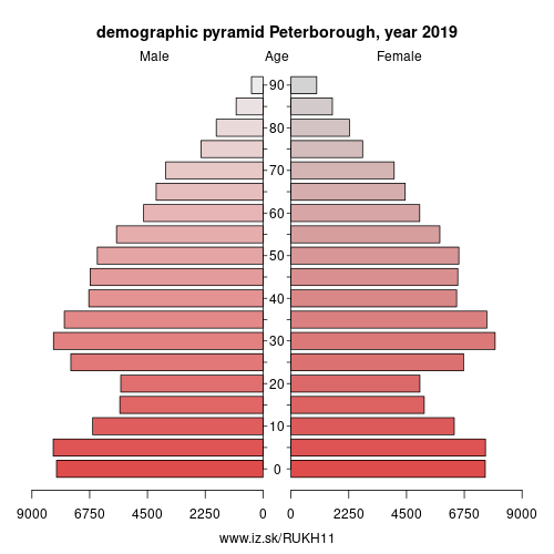 demographic pyramid UKH11 Peterborough