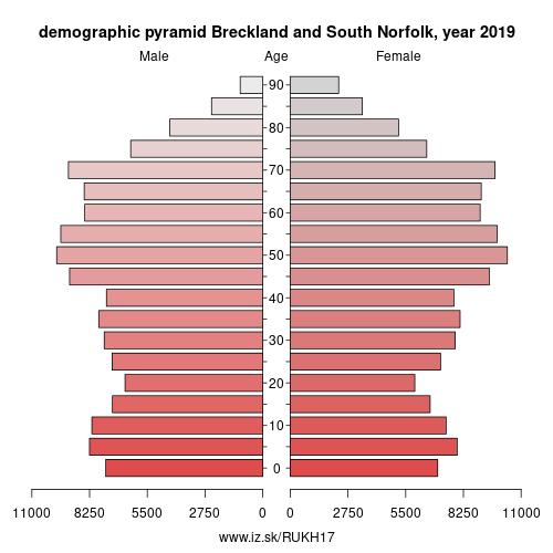 demographic pyramid UKH17 Breckland and South Norfolk