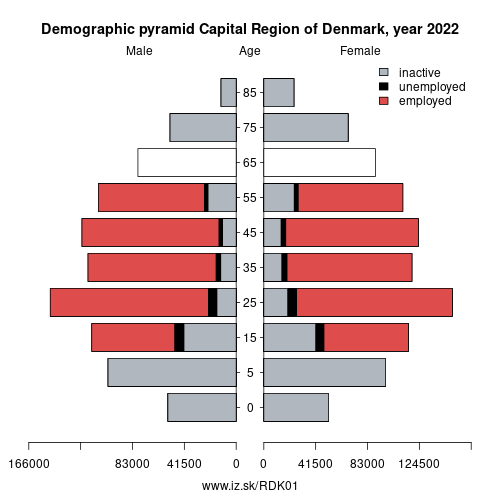 demographic pyramid DK01 Capital Region of Denmark based on economic activity – employed, unemploye, inactive