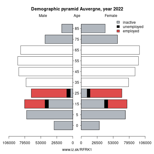 demographic pyramid FRK1 Auvergne based on economic activity – employed, unemploye, inactive