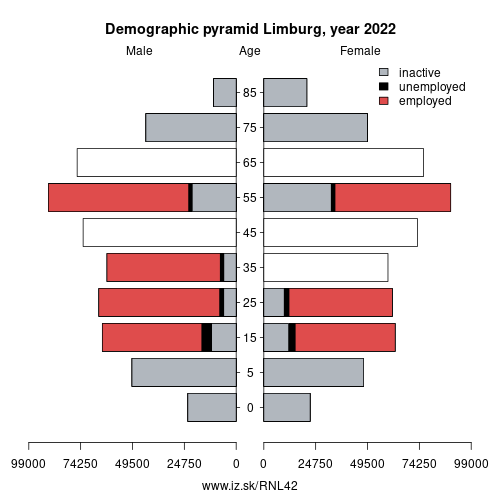 demographic pyramid NL42 Limburg based on economic activity – employed, unemploye, inactive