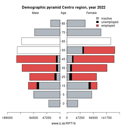 demographic pyramid PT16 Centro region based on economic activity – employed, unemploye, inactive