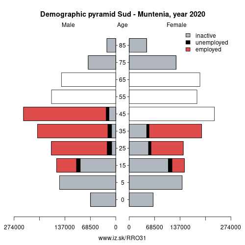 demographic pyramid RO31 Sud-Muntenia based on economic activity – employed, unemploye, inactive
