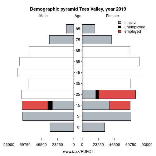 demographic pyramid UKC1 Tees Valley based on economic activity – employed, unemploye, inactive