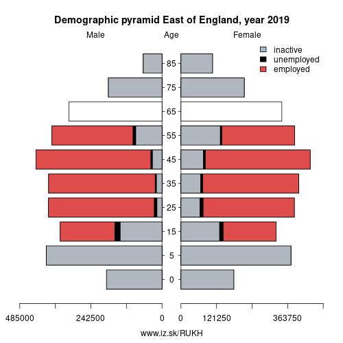 demographic pyramid UKH East of England based on economic activity – employed, unemploye, inactive