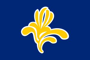 flag of Brussels-Capital Region BE10