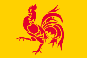 flag of Walloon Region BE3