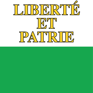 vlajka Vaud CH011