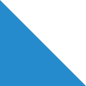 flag of Canton of Zürich CH040