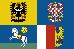flag of Moravian-Silesian Region CZ080