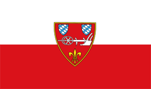 flag of Straubing DE223