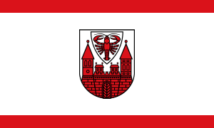 flag of Cottbus DE402