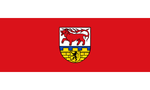 flag of Oberspreewald-Lausitz District DE40B