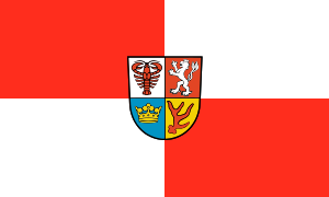 flag of Spree-Neiße District DE40G