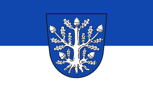 flag of Offenbach am Main DE713