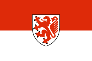 flag of Brunswick DE911