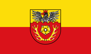 flag of Hildesheim DE925