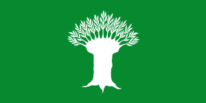 vlajka Wesel DEA1F