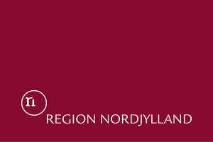 vlajka Severné Jutsko (administratívny región) DK05