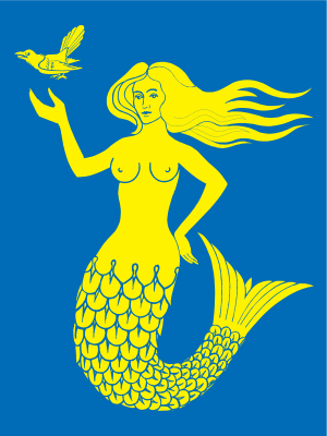 flag of Päijänne Tavastia FI1C3