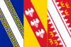 vlajka Alsasko-Champagne-Ardenne-Lotrinsko FRF