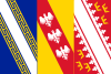 flag of Grand Est FRF