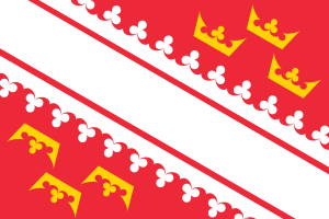 vlajka Alsasko FRF1