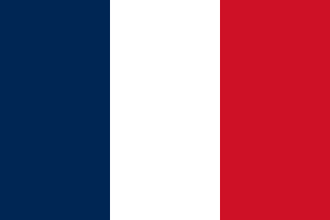 flag of Martinique FRY2